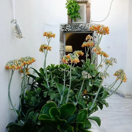 Bellissimo Apartment Santorini Island